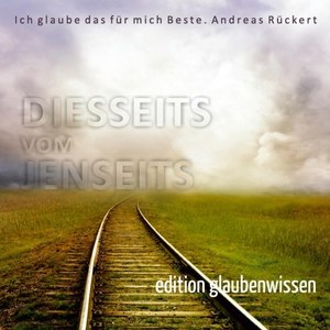 Diesseits vom Jenseits (Vol. 1 aus der Reihe: Glaubenwissen) [Gemafrei]