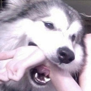 i wanna go home (feat. kunen) (Explicit)