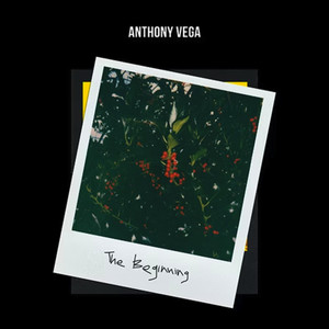 The Beginning Non Instrumental