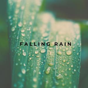 Falling Rain