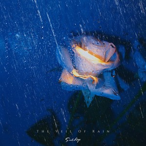 油猫饼 - 雨中影 Shadows In The Rain