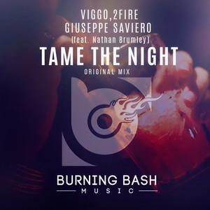 Tame The Night (Original Mix)