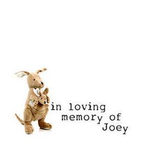 In Loving Memory Of Joey