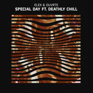 Special Day (feat. Deathly Chill)