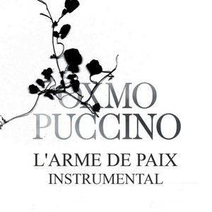 365 jours (Version instrumentale)