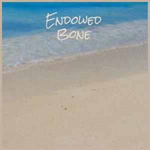 Endowed Bone