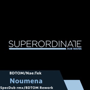 Noumena (SpecDub Rmx)