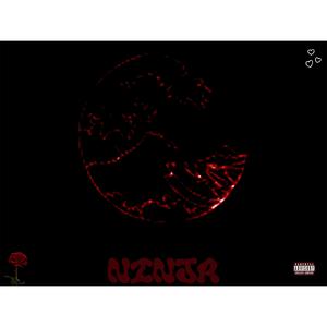 NINJA X NASTY C TYPE