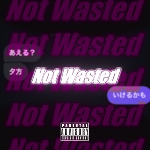 Not Wasted (Explicit)