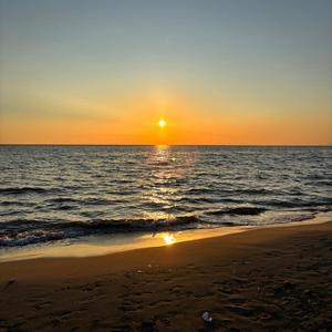 futile devices (instrumental slowed)