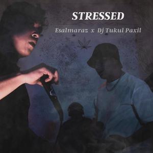 Stressed (feat. Dj Tukul Paxil) [Explicit]