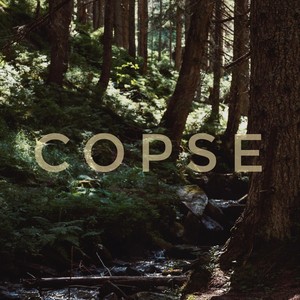 Copse (feat. Prorubono)