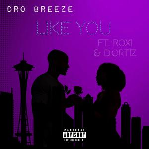 Like You (feat. D Ortiz & Roxi) [Explicit]