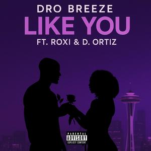 Like You (feat. D Ortiz & Roxi) (Explicit)