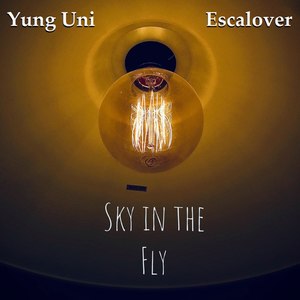 Fly in the Sky