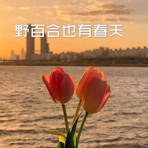 意浓 (经典版)