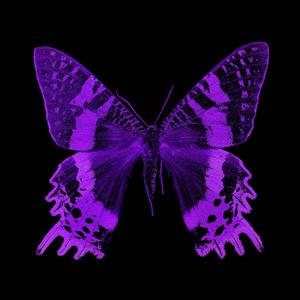 Mariposas (feat. JeyJey Ortega)