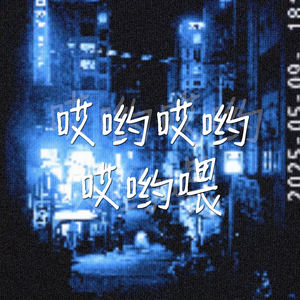 小紫万花筒 (DJ版)