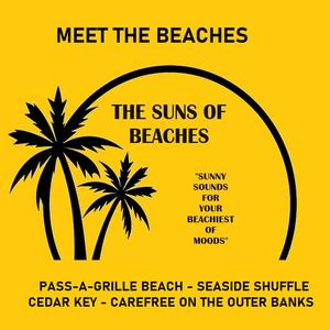 BEER UNDERSTANDS (feat. THE SUNS OF BEACHES)