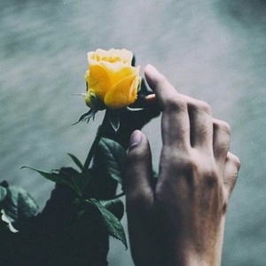 爱会消失吗 (Demo)