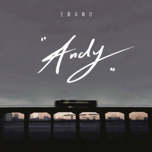 Andy (DJ王喜版)