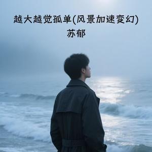 越大越觉孤单 (风景加速变换)