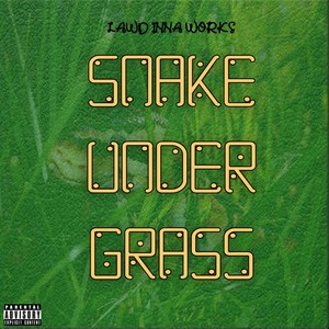 Snake Under Grass (Explicit)