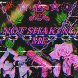 Not Shaking Me (Explicit)