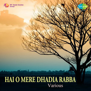 Hai O Mere Dhadia Rabba Various