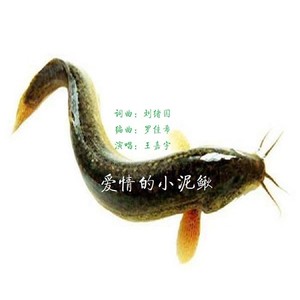 爱情的小泥鳅