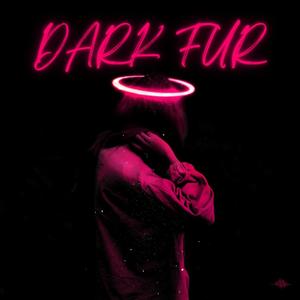 Need (feat. Dr.Dro & PrinsXE) (Explicit)