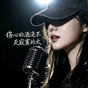 伤心的酒浇不灭寂寞的火 (烟嗓女版)