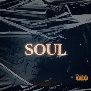 Soul (feat. S4VOi) (Explicit)