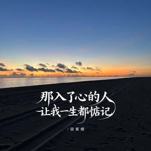 那入了心的人让我一生都惦记-田紫烟