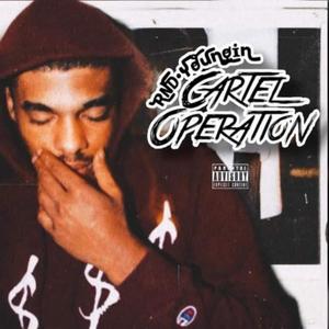 Cartel Operation (Explicit)