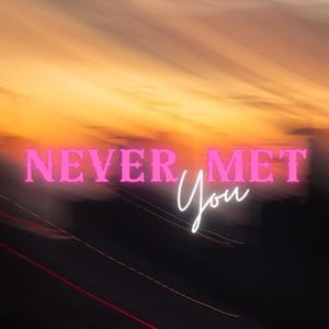 Never Met You