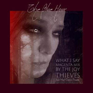 What I Say(feat. Mark Gemini Thwaite & The Joy Thieves) (Magenta Mix)