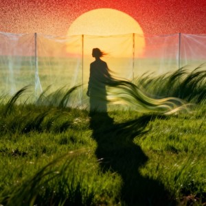 羞答答的玫瑰静悄悄的开 (r&b版)