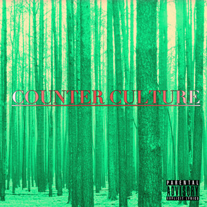 Counter Culture (Radio Edit) [Explicit]