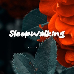 Sleepwalking