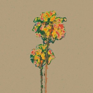 WOOGIE - PARADISE (Feat. ROMderful & punchnello)