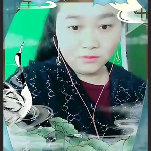 做你的雪莲 (合唱版)