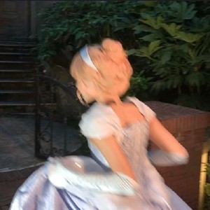 独木成林 - Firework