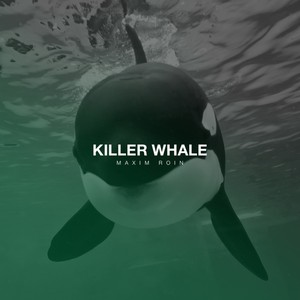 Killer Whale (Original Mix)