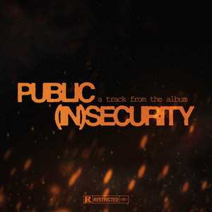 Public (In) Security (Explicit)