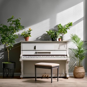 Las Melodías Curativas Que Calman La Mente