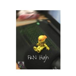 FKN High (feat. L-leo, Andeer Lee, Freddx, Dr. Dwayne & Leganith) [Explicit]