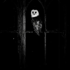 SOUTHSIDE (Explicit)