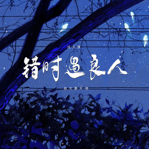 错时遇良人(做夫妻太晚) (伴奏)
