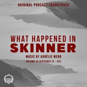 What Happened In Skinner Vol III (Original Podcast Soundtrack)